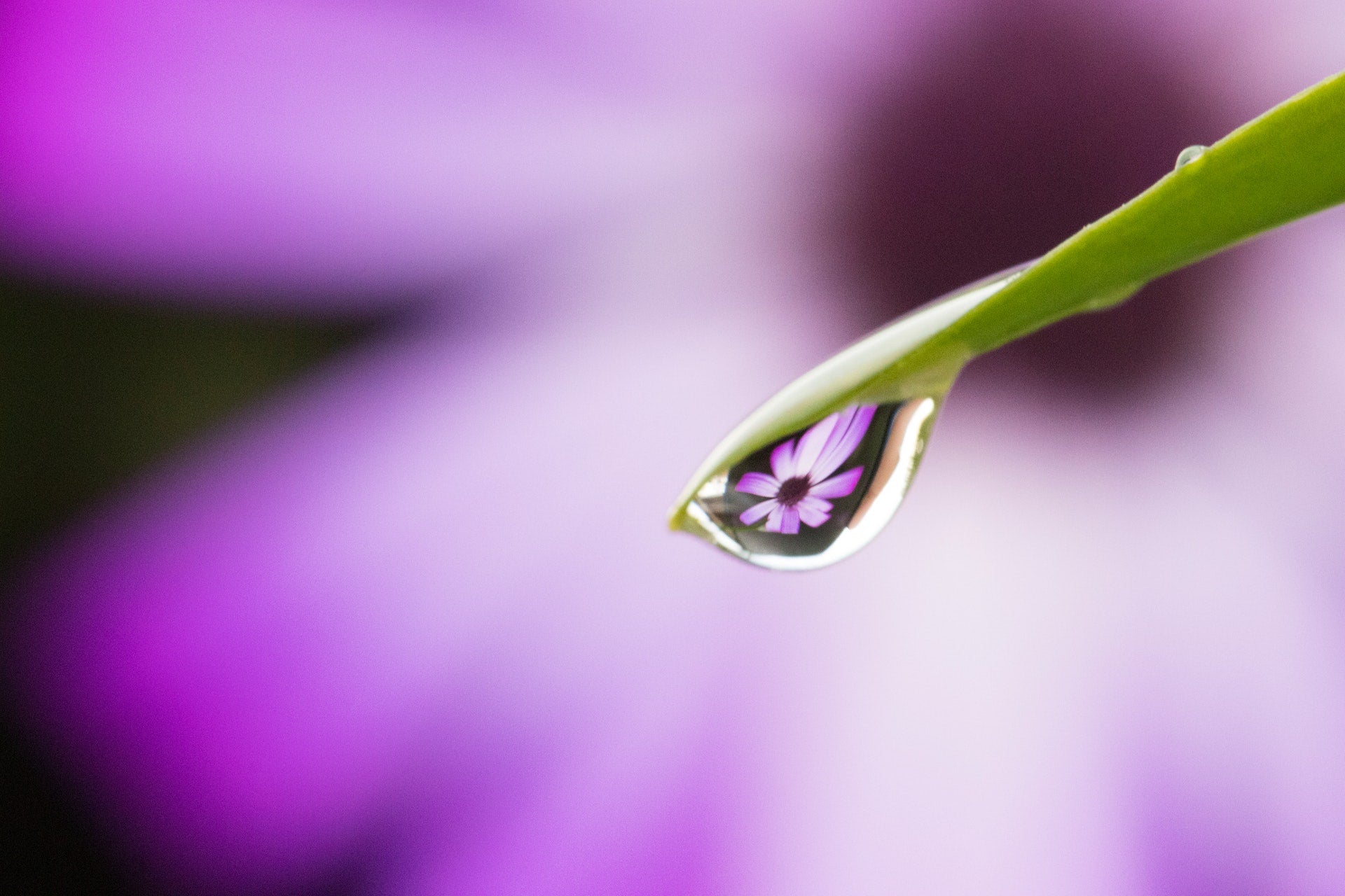 Bijoux résine Nature